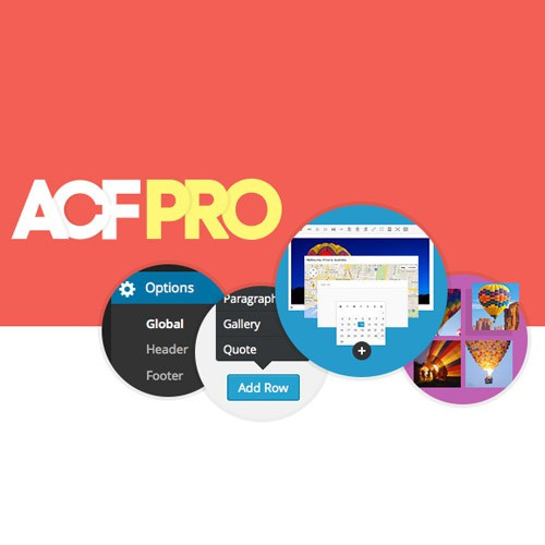 DropStart.pl Advanced Custom Fields PRO (ACF PRO)